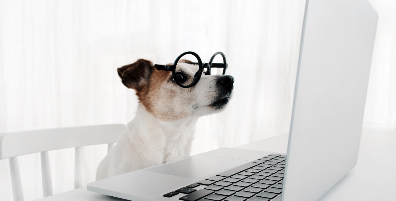 Zašto uložiti u izradu web shopa?