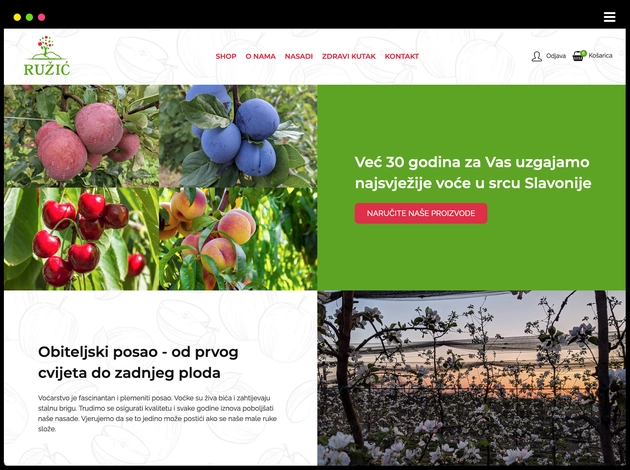 opg-ruzic.com